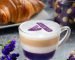 UBE CAPPUCCINO2 copy (2) (2)